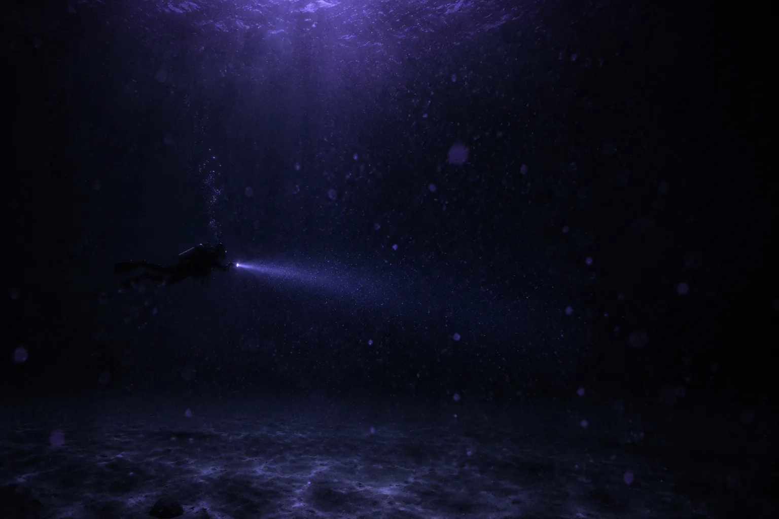 夜色下的浅海，水中悬浮着点点微光，远处一名潜水员手持手电横游，光柱划过深蓝的水。